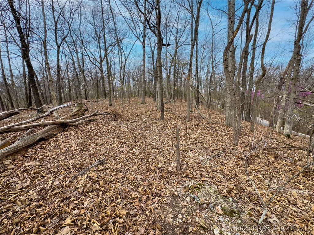 Stacys Hollow - Land