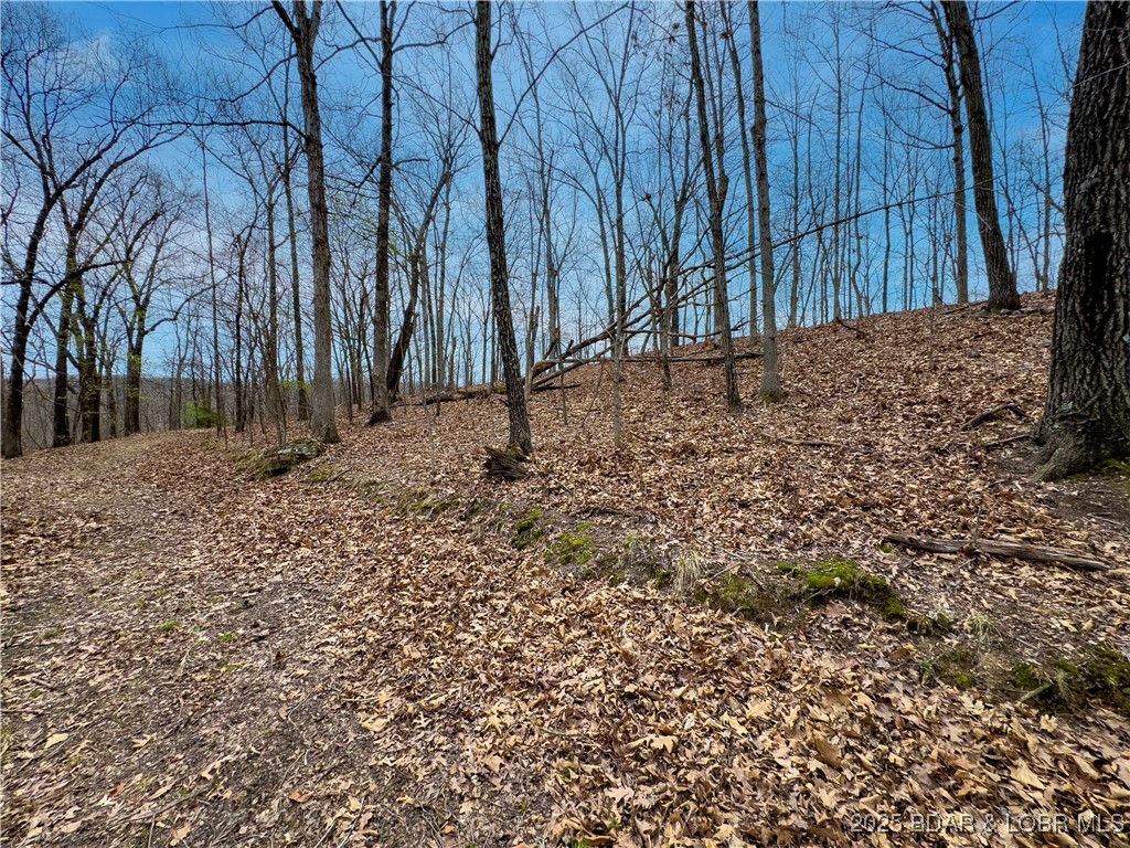 Stacys Hollow - Land