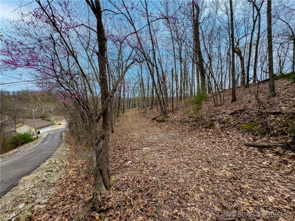 Stacys Hollow - Land