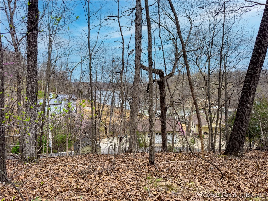 Stacys Hollow - Land