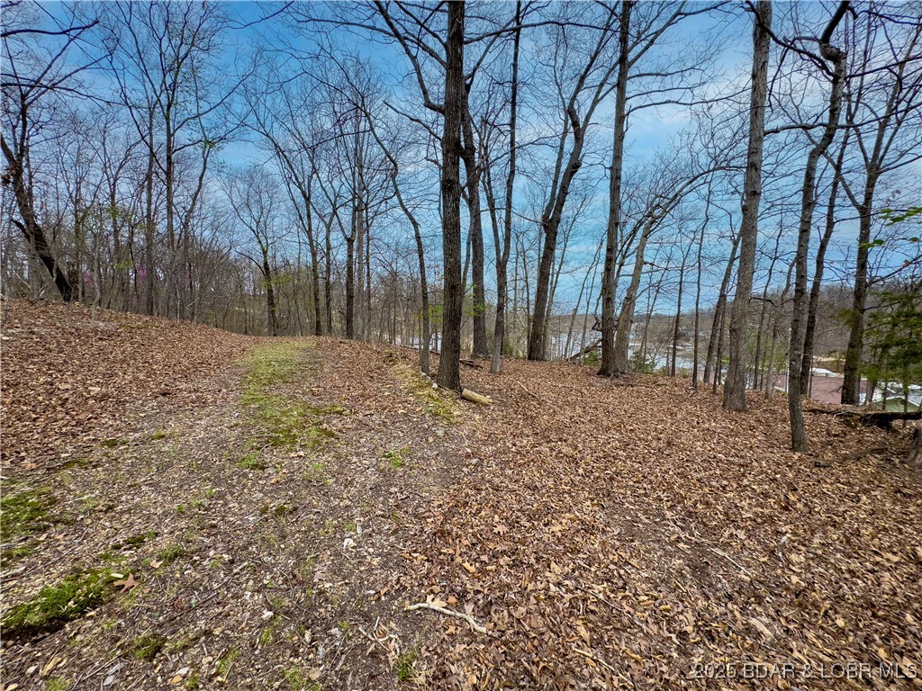 Stacys Hollow - Land