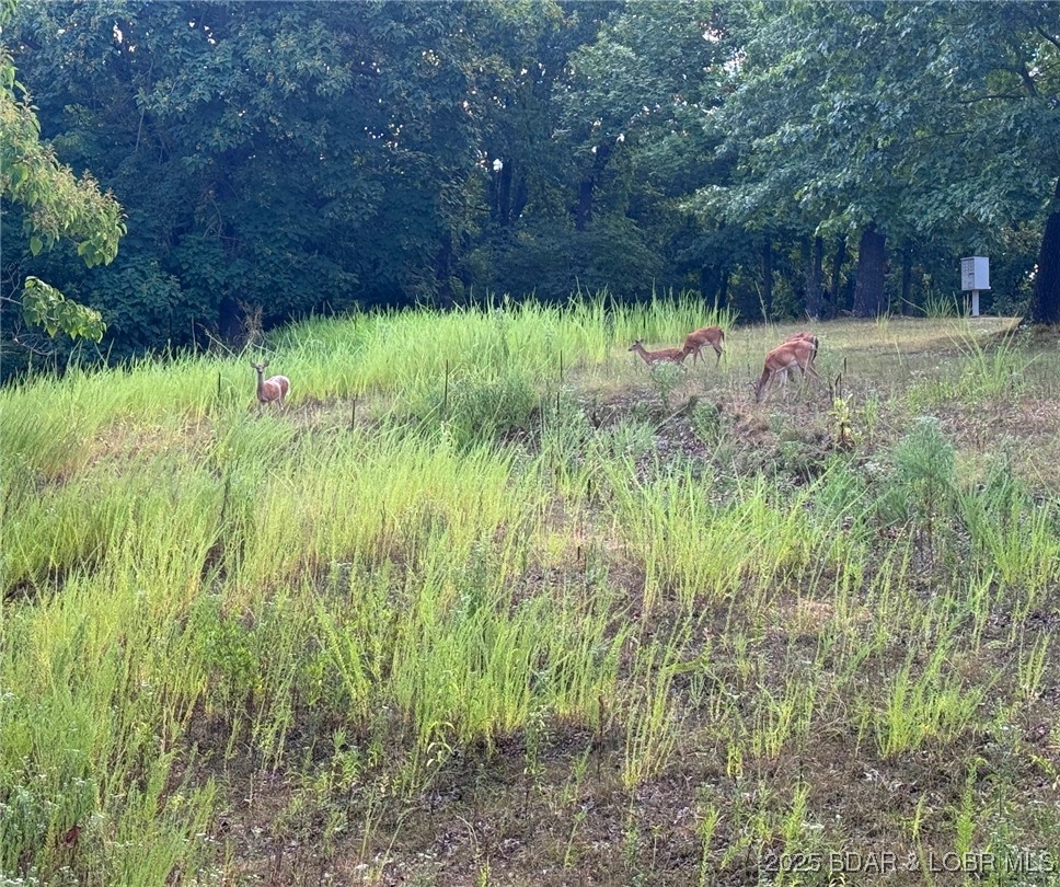 Sunset Villas - Residential