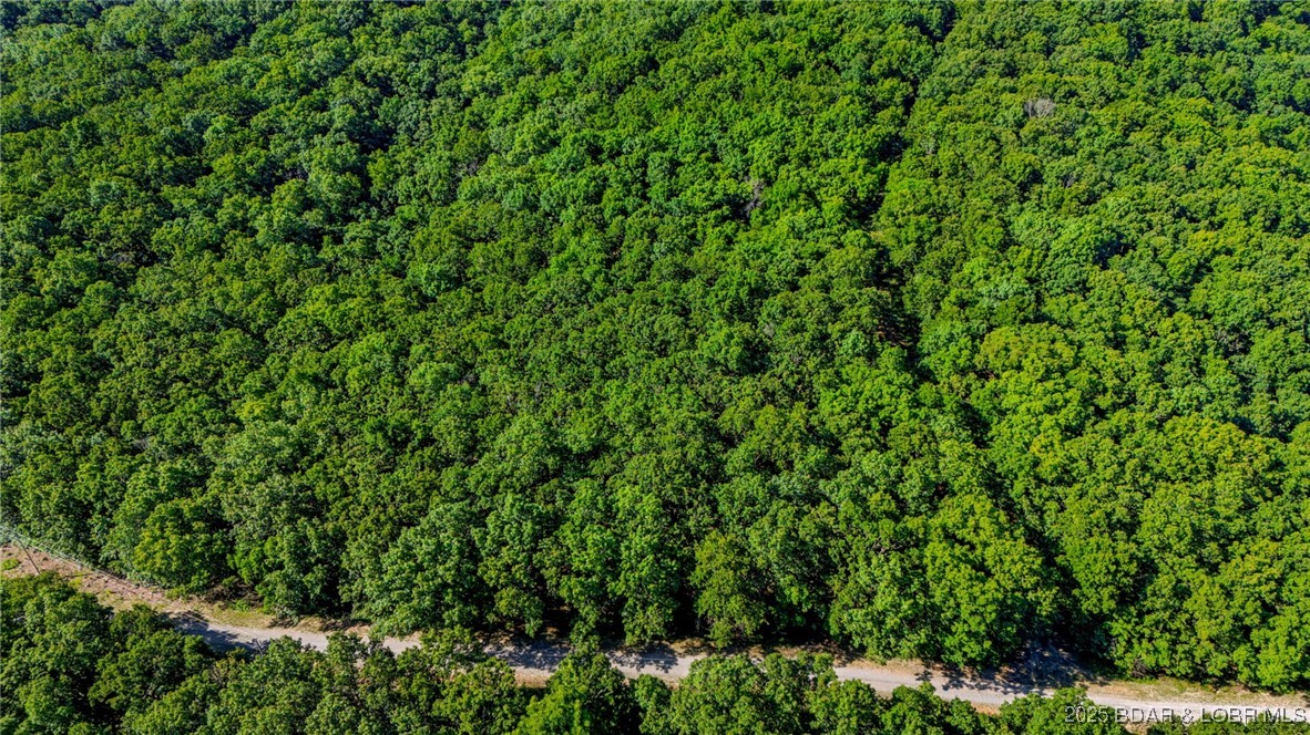 Forbes Lake of the Ozarks - Land