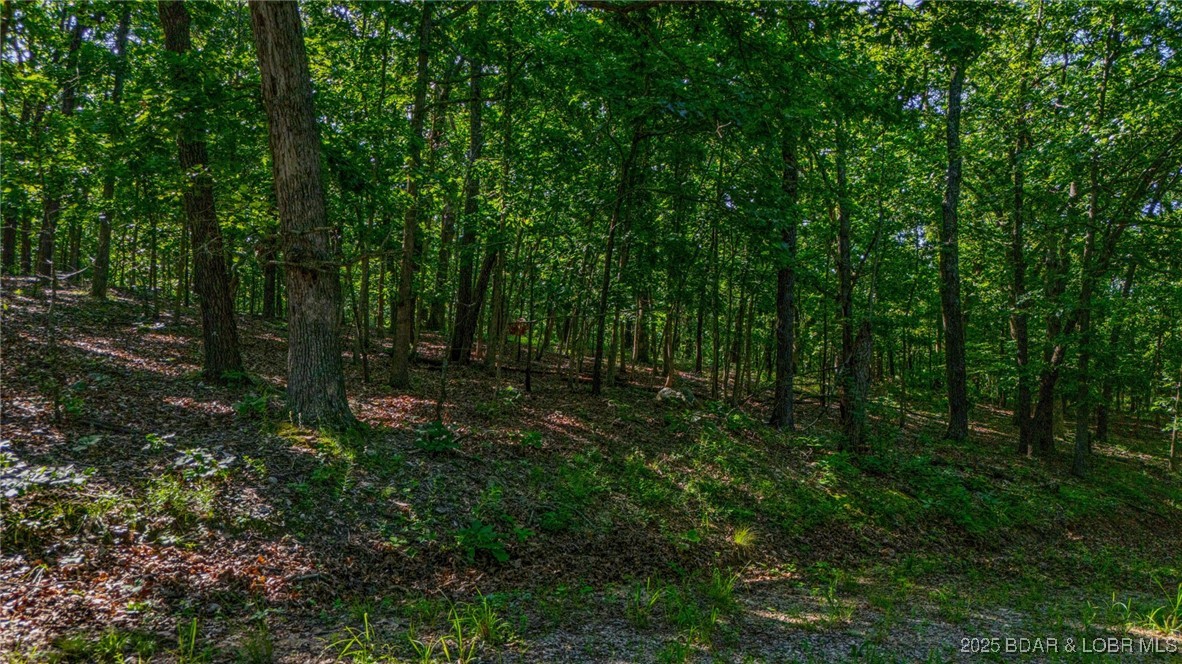 Forbes Lake of the Ozarks - Land