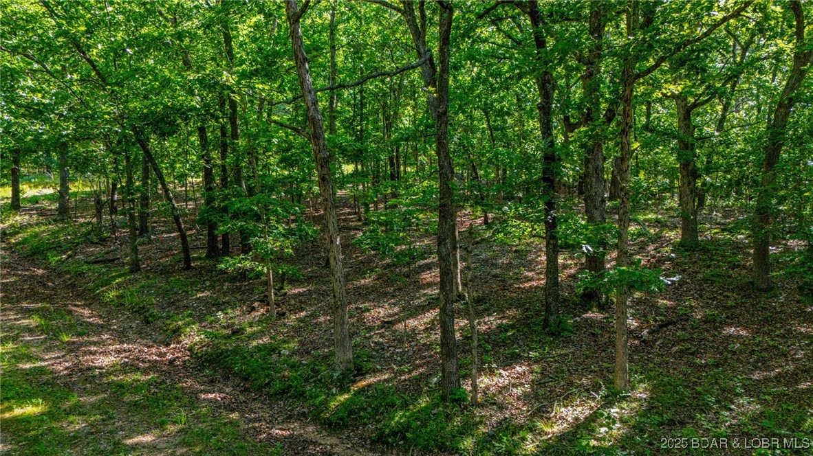 Forbes Lake of the Ozarks - Land