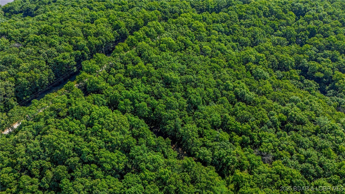 Forbes Lake of the Ozarks - Land