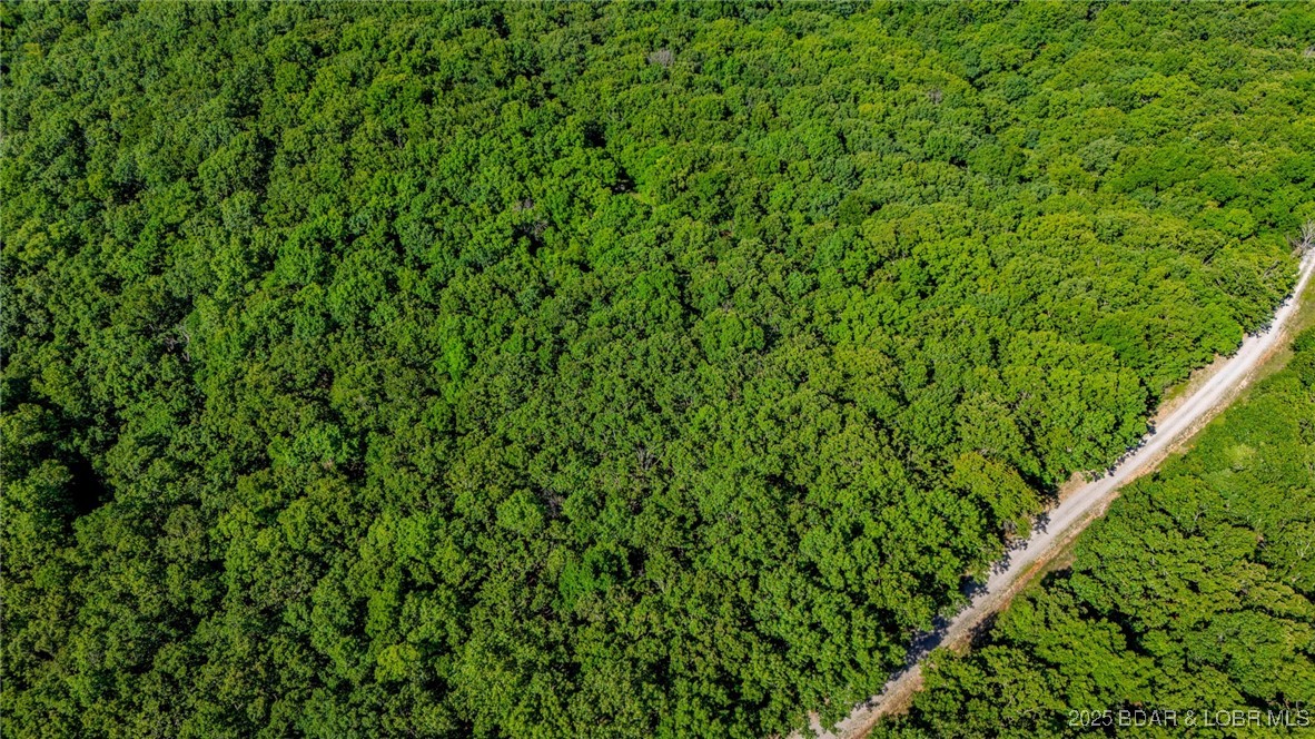 Forbes Lake of the Ozarks - Land