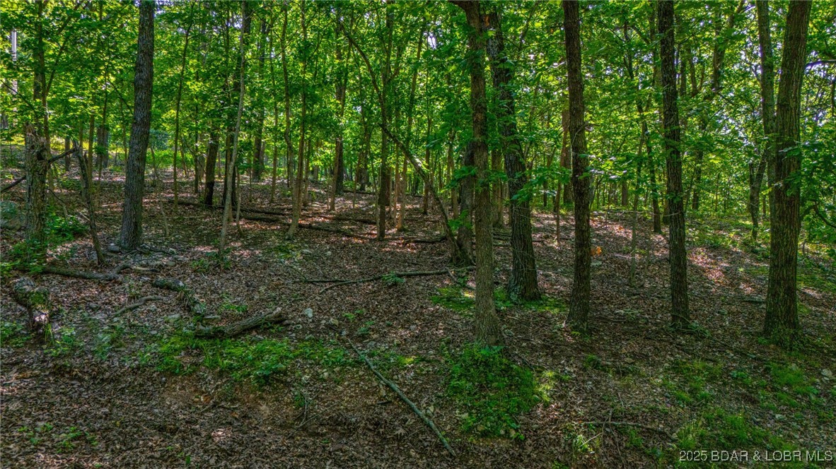 Forbes Lake of the Ozarks - Land