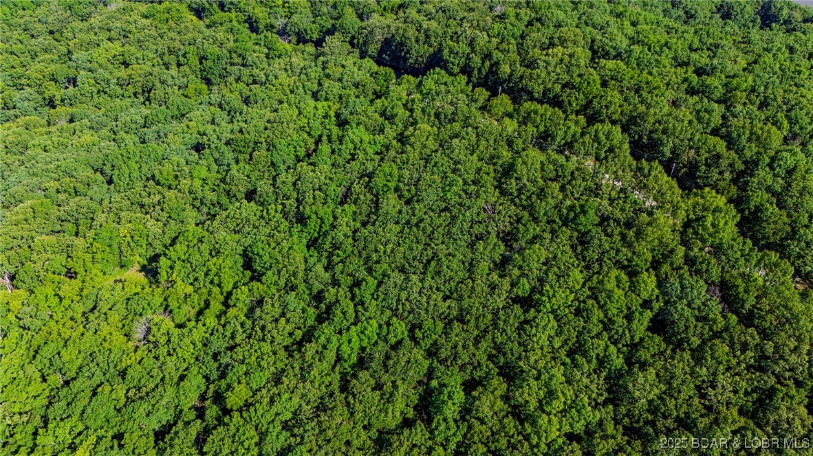 Forbes Lake of the Ozarks - Land