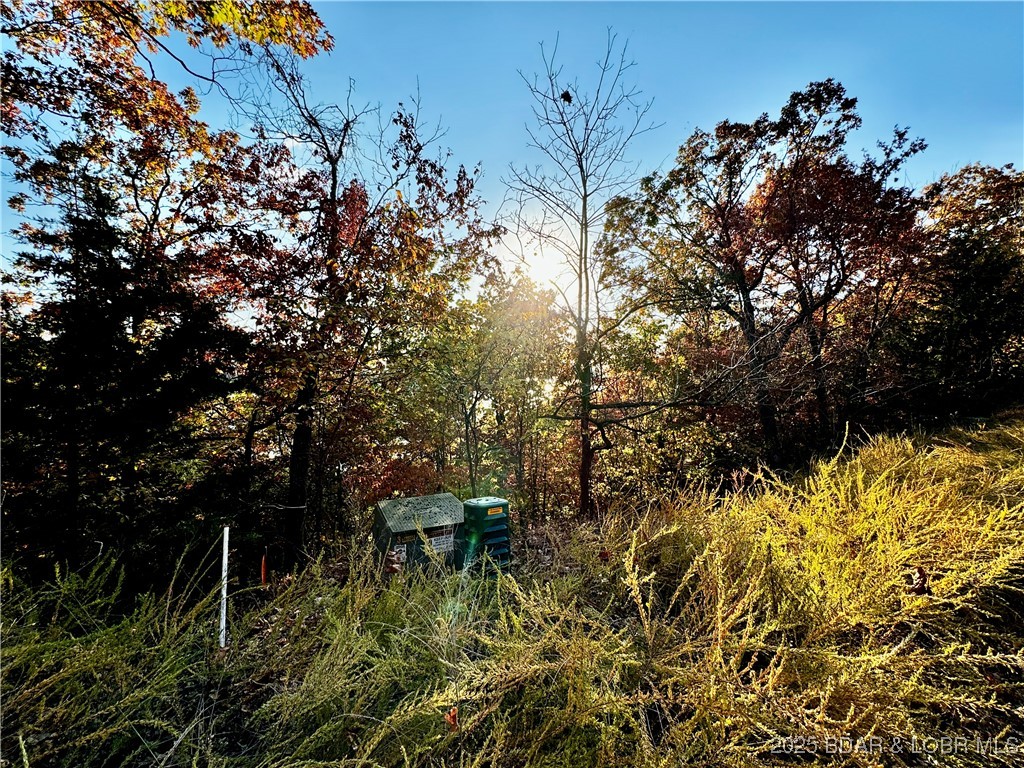 Lake Horizons - Land