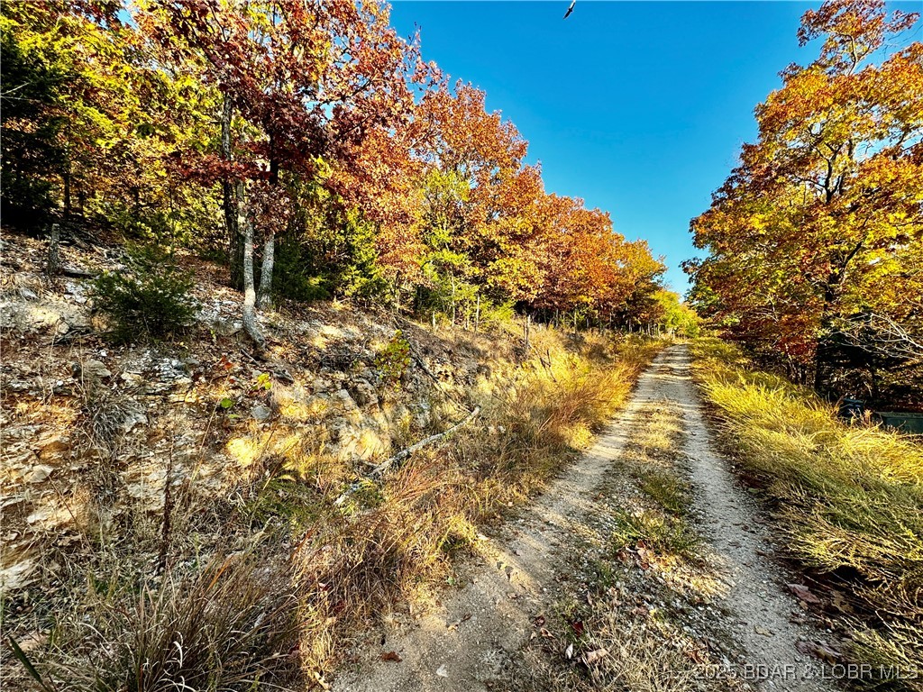 Lake Horizons - Land
