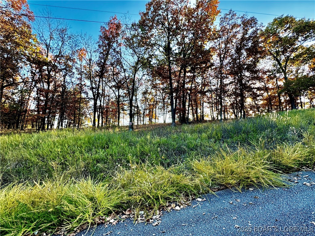 Lake Horizons - Land