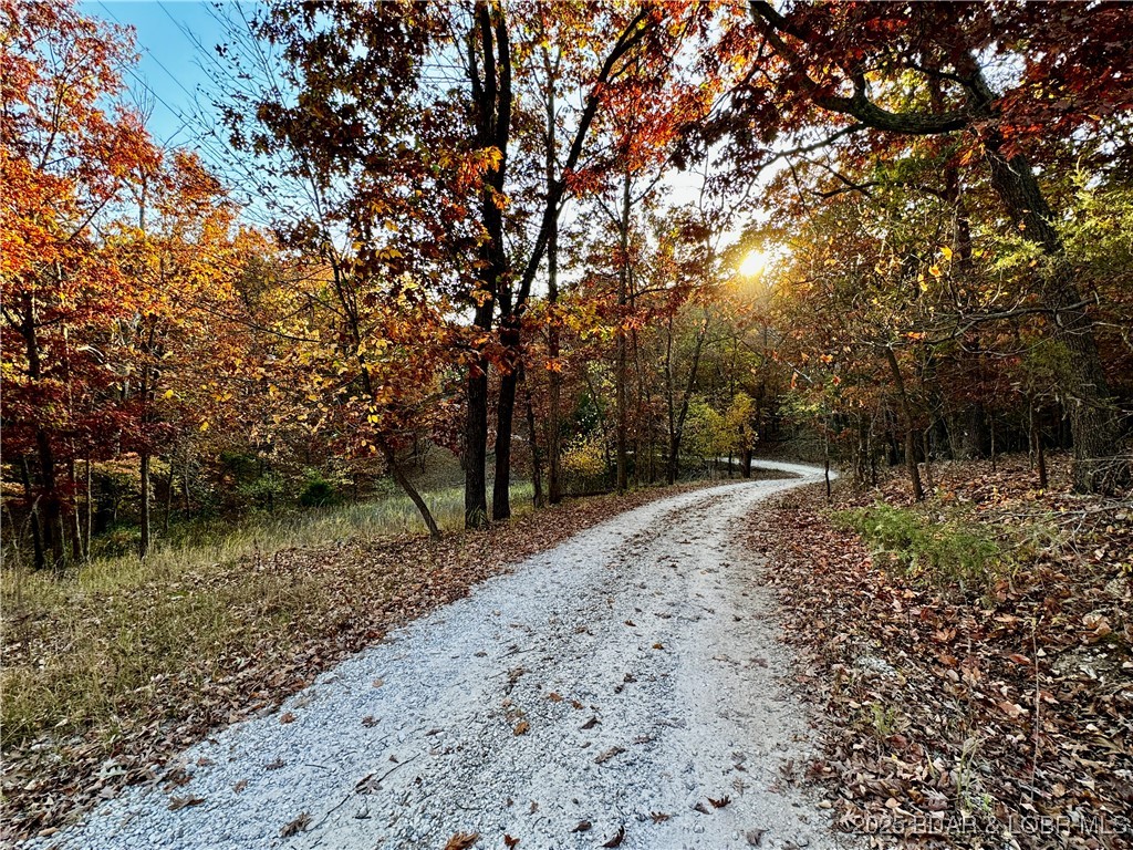 Lake Horizons - Land