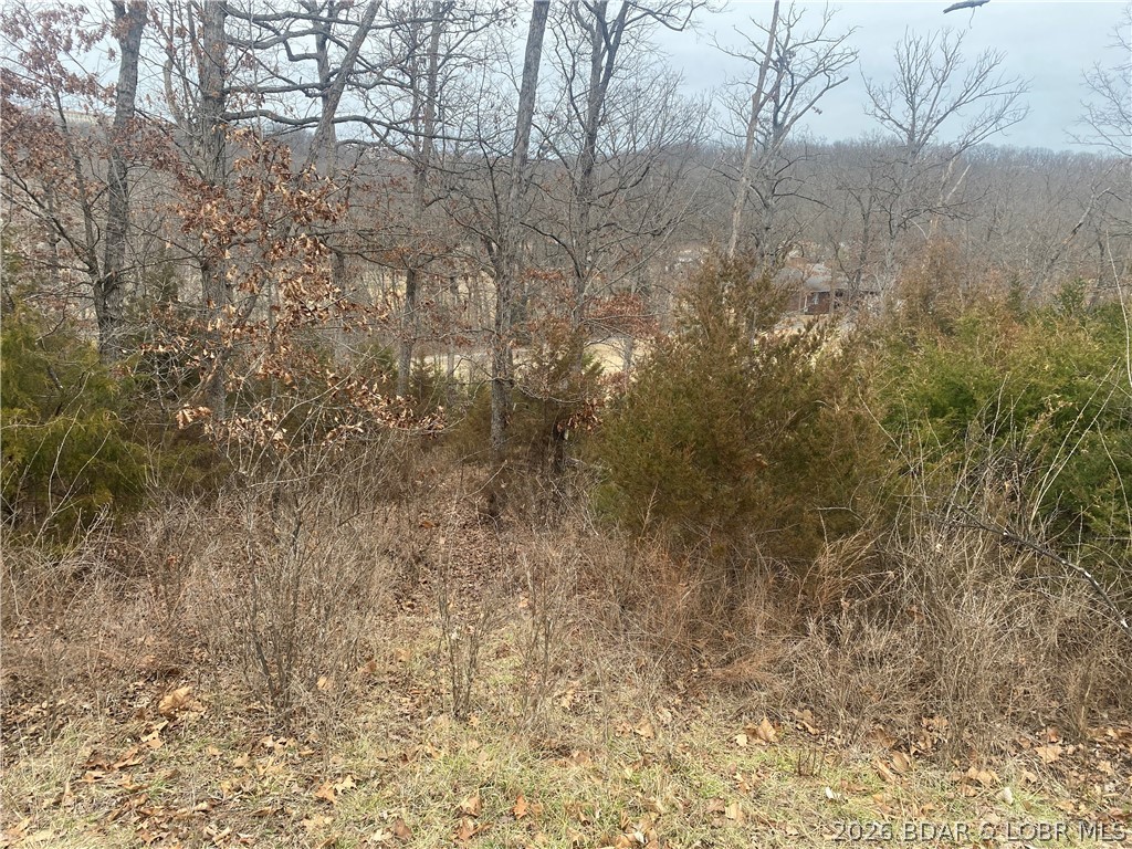 Country Club Cove - Land