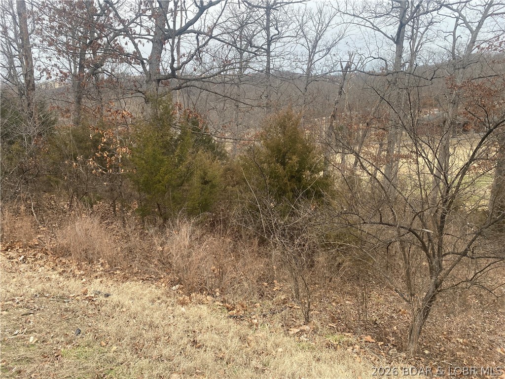 Country Club Cove - Land