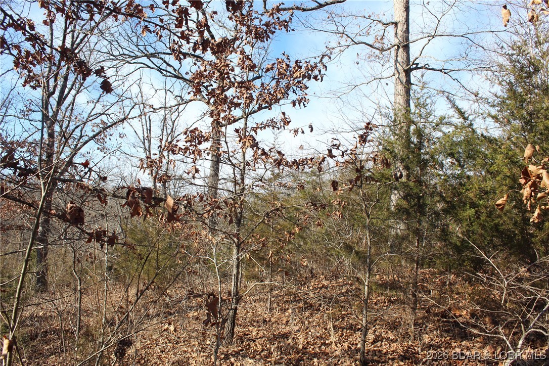 Woodhaven Estates - Land