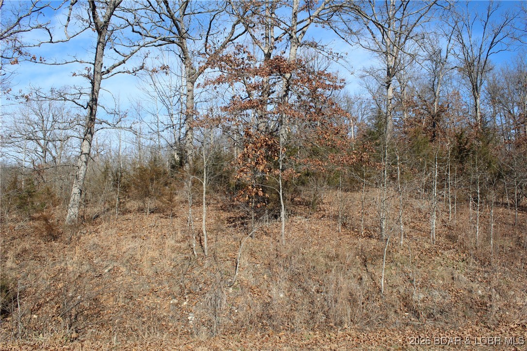 Woodhaven Estates - Land