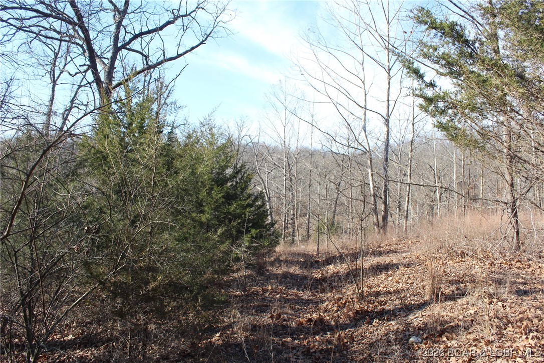 Woodhaven Estates - Land