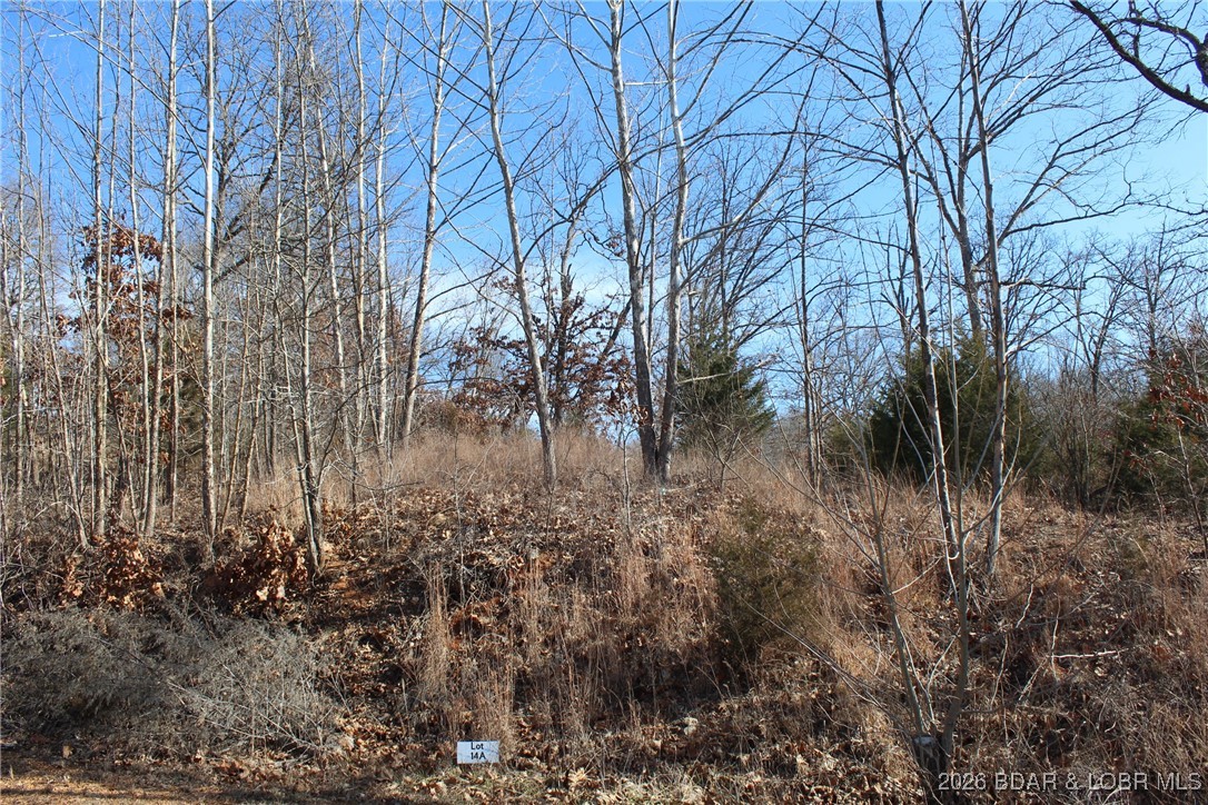 Woodhaven Estates - Land