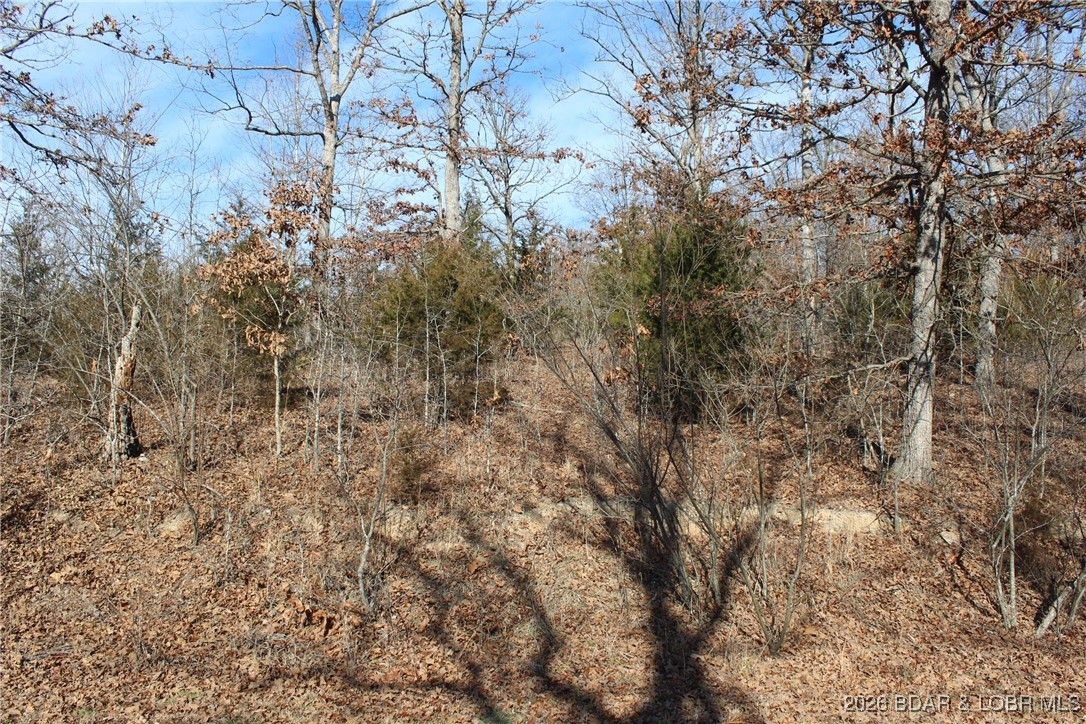 Woodhaven Estates - Land