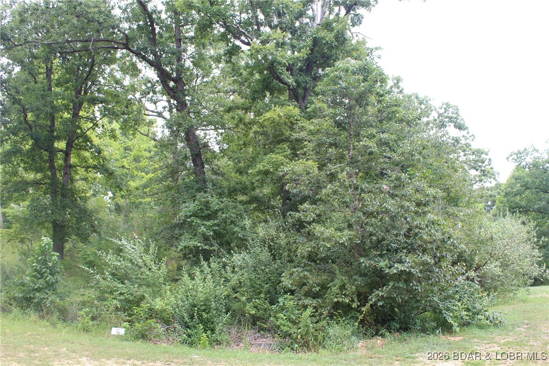 Woodhaven Estates - Land