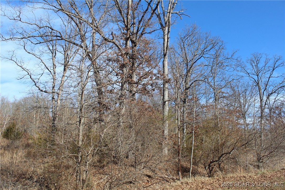 Woodhaven Estates - Land