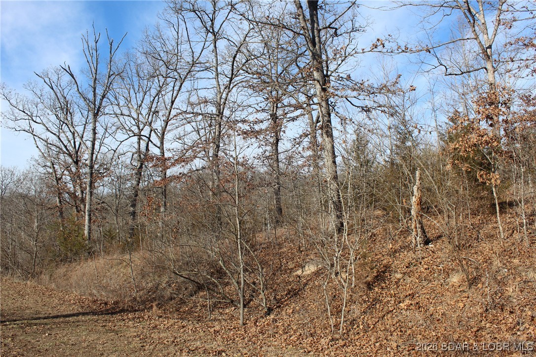 Woodhaven Estates - Land