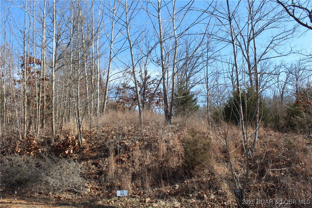 Woodhaven Estates - Land