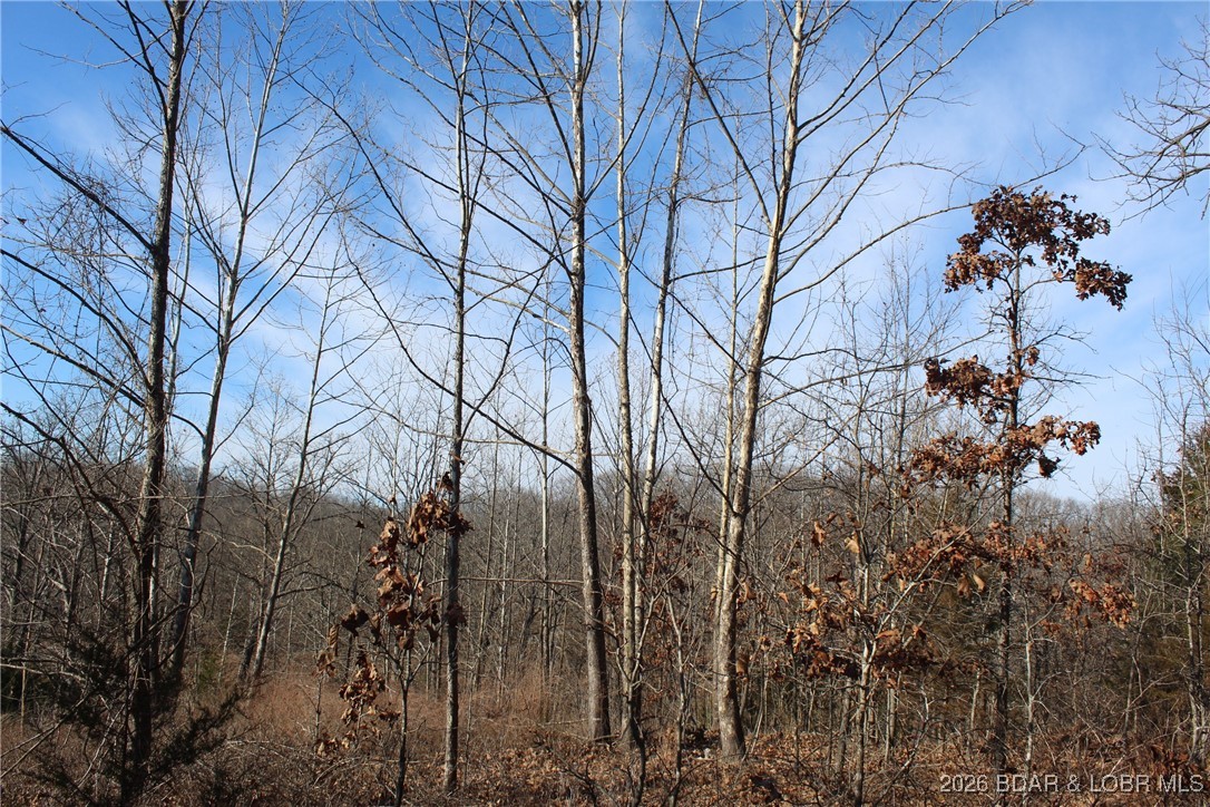 Woodhaven Estates - Land