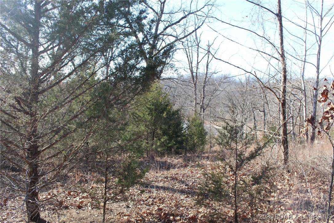 Woodhaven Estates - Land