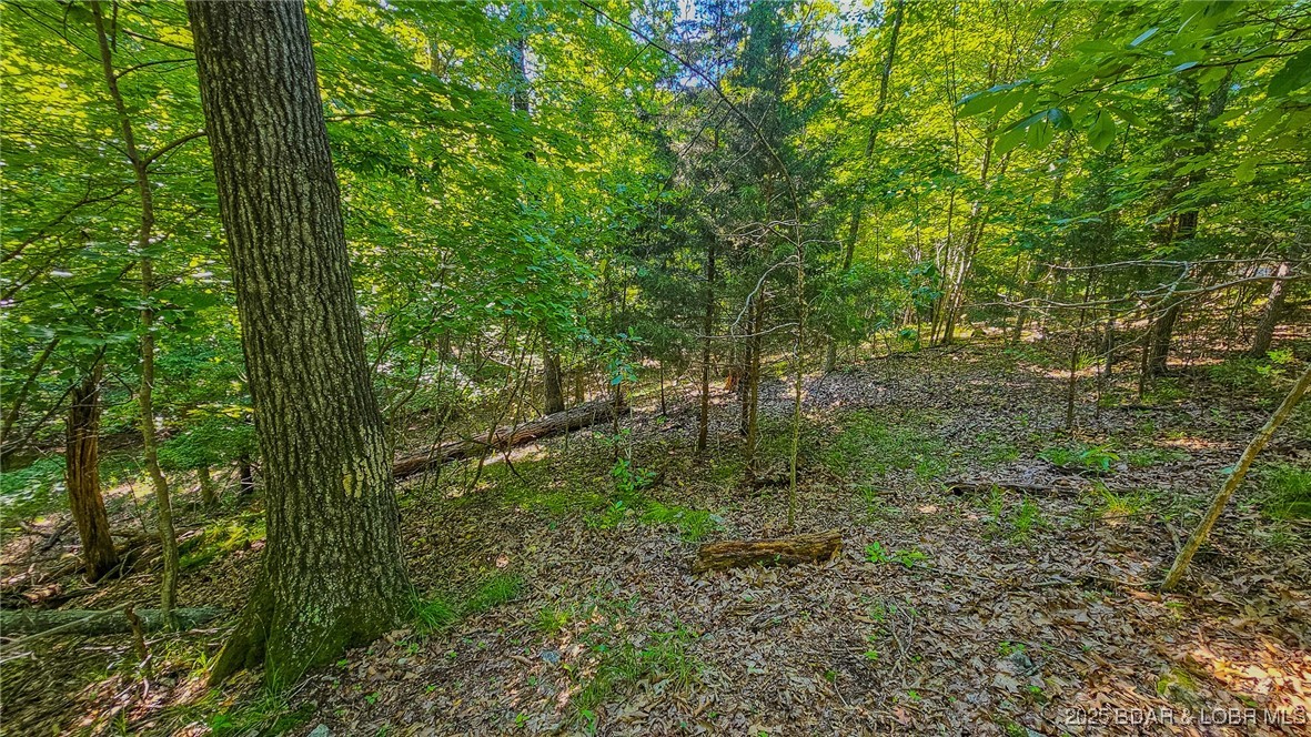 Heritage Isle - Land