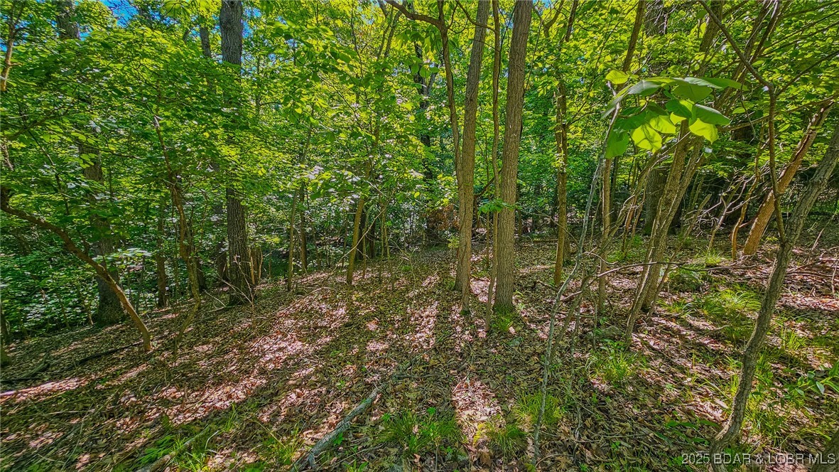 Heritage Isle - Land