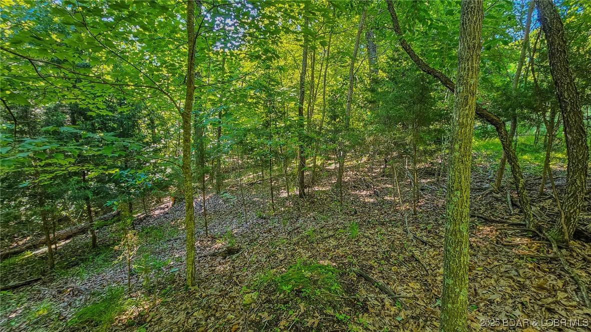 Heritage Isle - Land