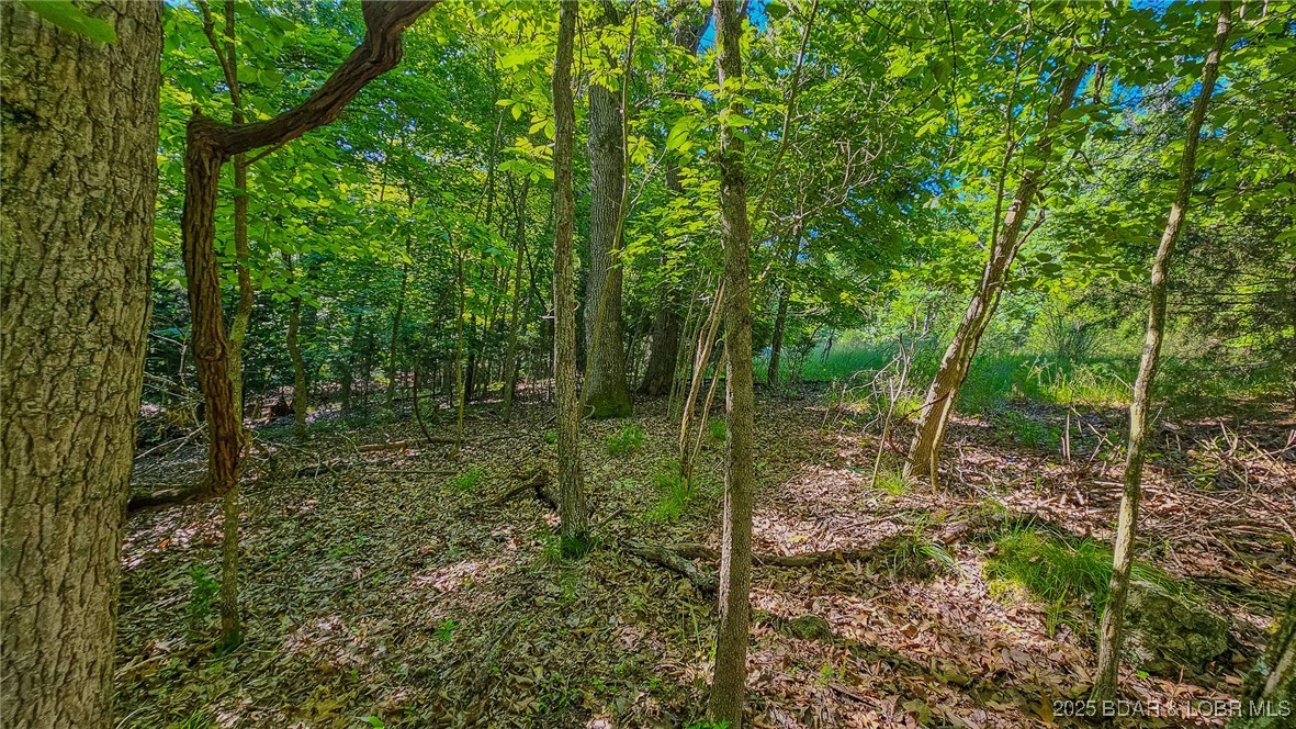 Heritage Isle - Land