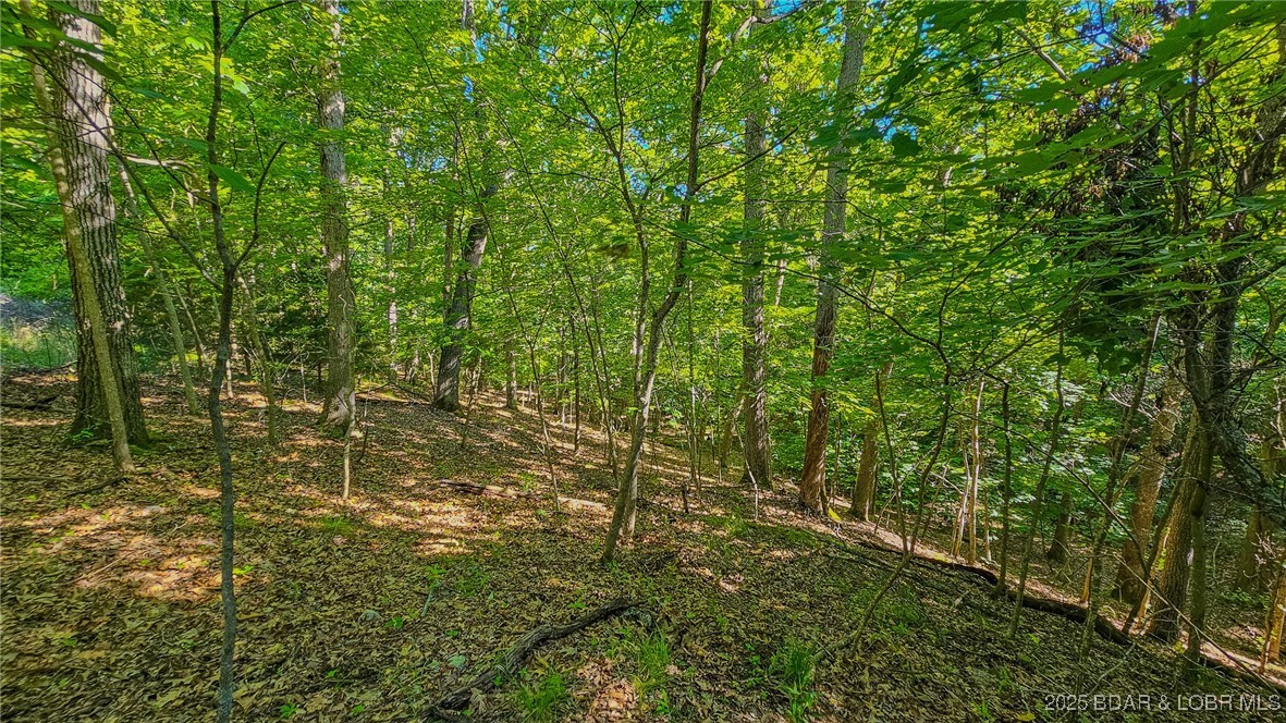 Heritage Isle - Land