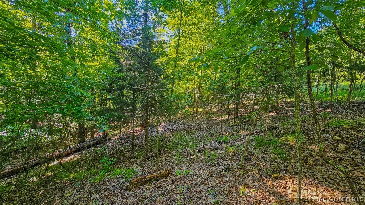 Heritage Isle - Land