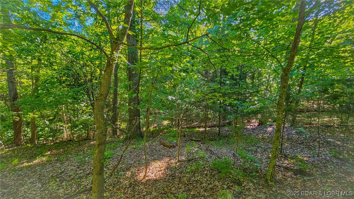 Heritage Isle - Land