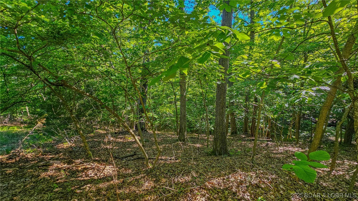 Heritage Isle - Land