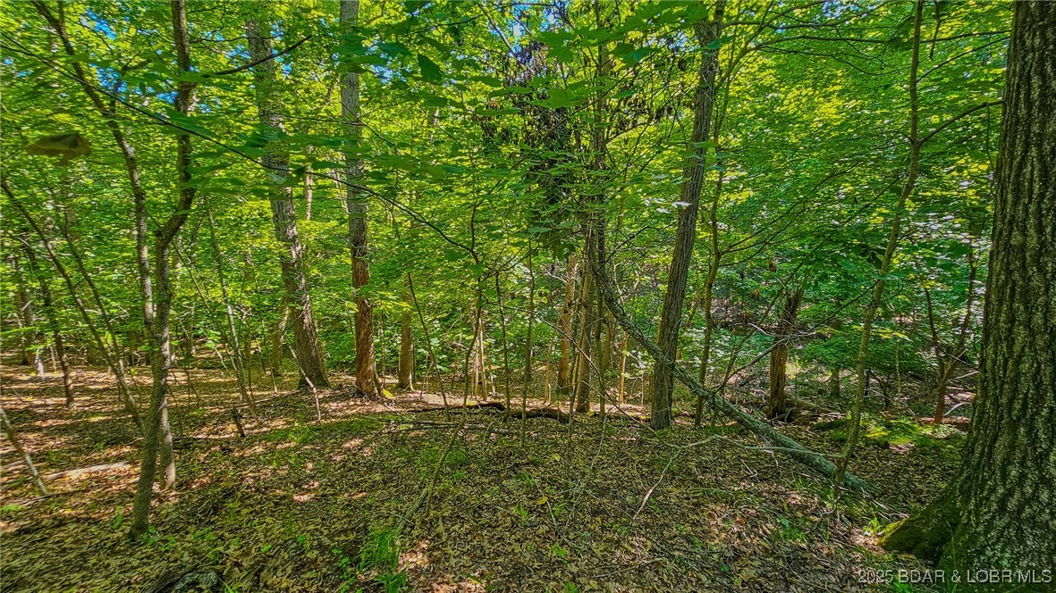 Heritage Isle - Land