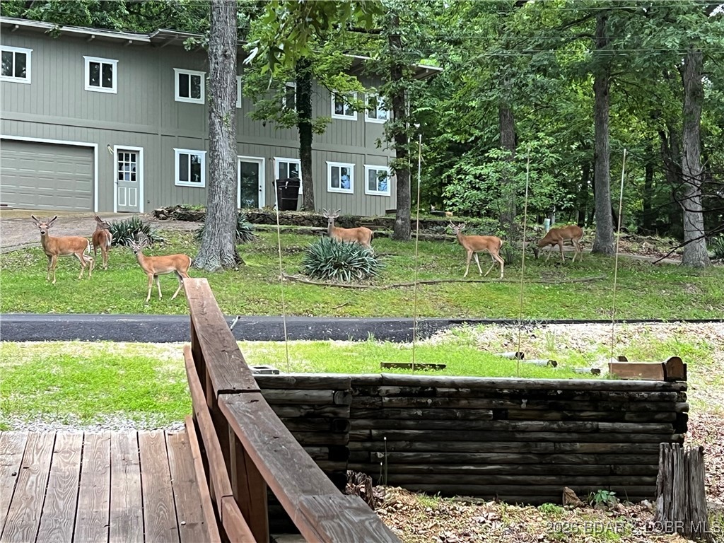 Cranes - Residential