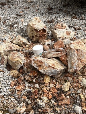 Ivy Bend - Residential