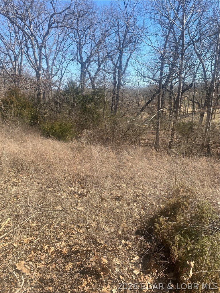 Country Club Cove - Land