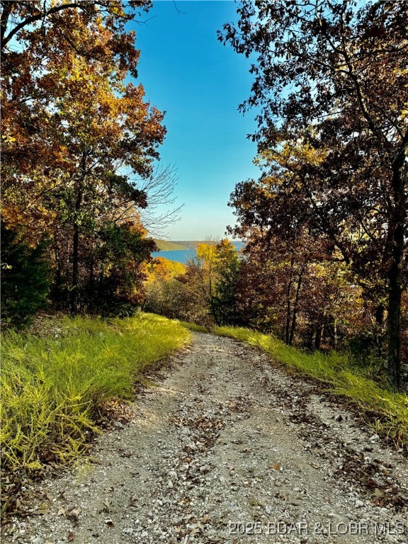 Lake Horizons - Land