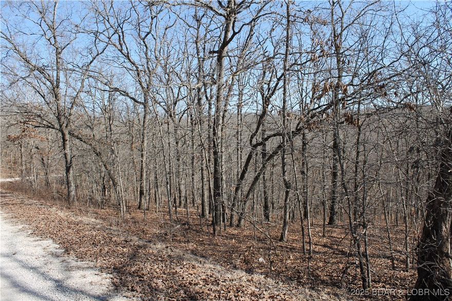 Whether you’re ready to build your dream home or create a relaxing weekend retreat, this property offers the space and setting you’ve been looking for. Located in the gated Forbes Lake of the Ozarks community, you’ll enjoy peaceful surroundings filled with deer, turkey, and other wildlife. The community also features incredible amenities, including 3 interior lakes, 3 boat ramps with access to the calmer side of Lake of the Ozarks, tennis courts, an RV park, and so much more. This property offers the perfect balance of seclusion and accessibility. Don’t miss this opportunity!