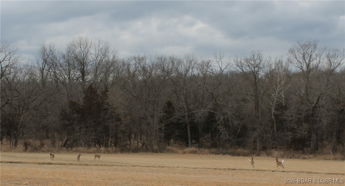 Forbes Lake of the Ozarks - Land