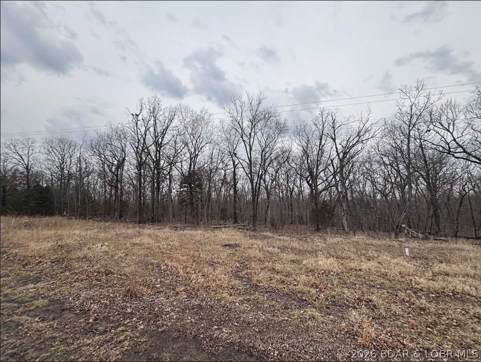 Champions Run - Land