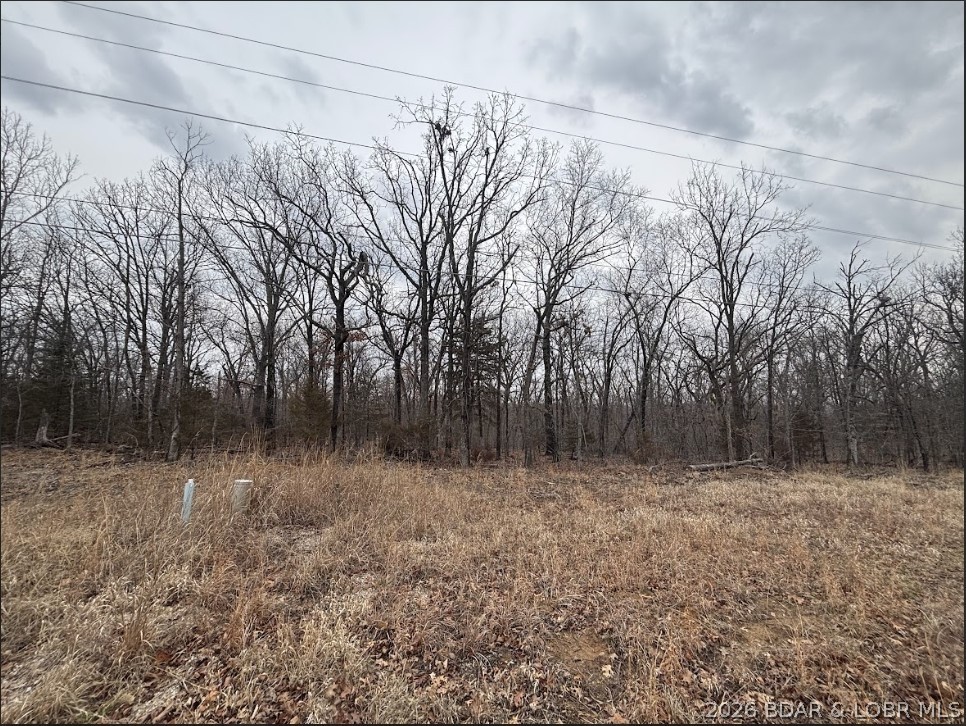 Champions Run - Land