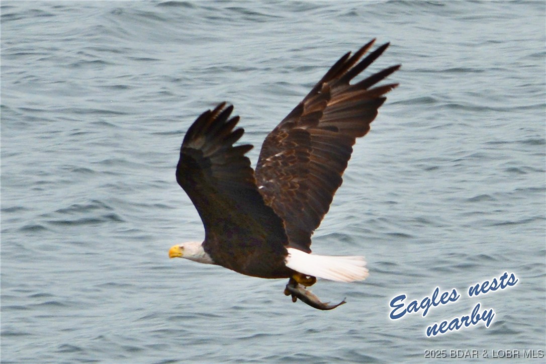 La Riva Est III - Residential