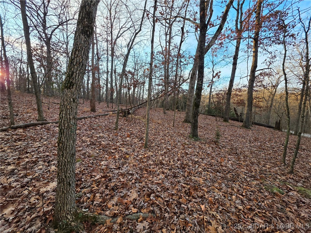 Heritage Isle - Land