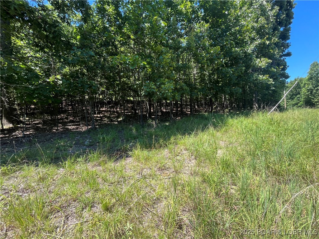 Camdenton, Missouri 65020, United States, ,Land,Active,173899